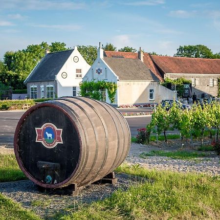 Wine-Barrel Rivaner Dreischor エクステリア 写真
