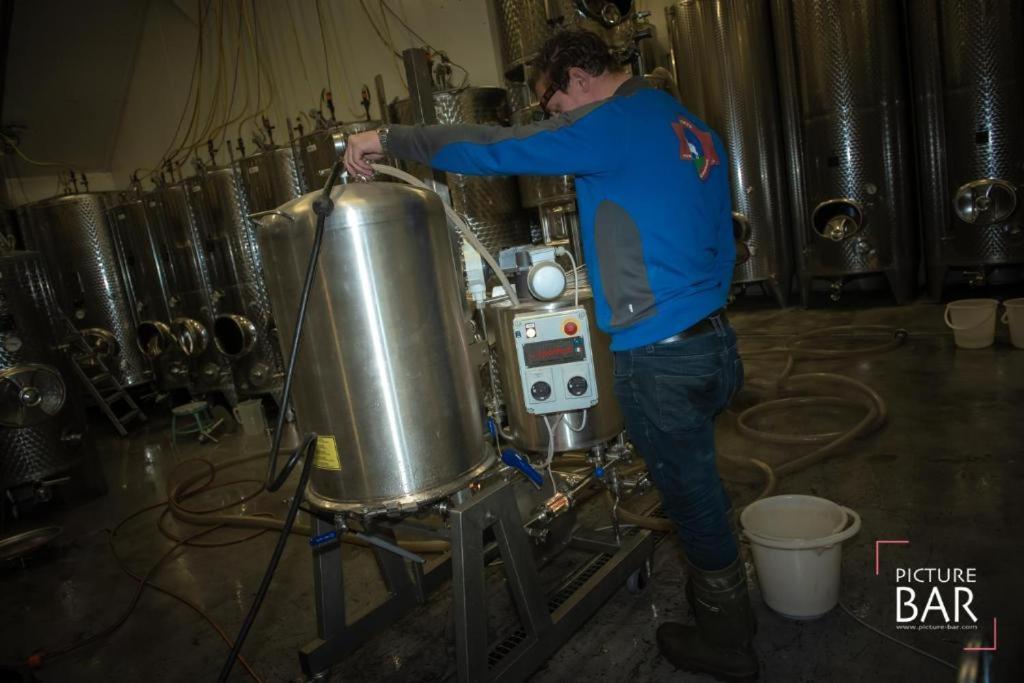 Wine-Barrel Rivaner Dreischor エクステリア 写真