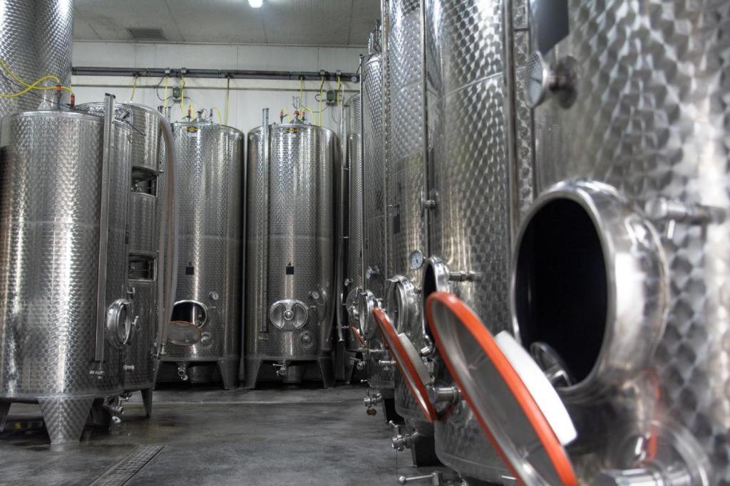 Wine-Barrel Rivaner Dreischor エクステリア 写真