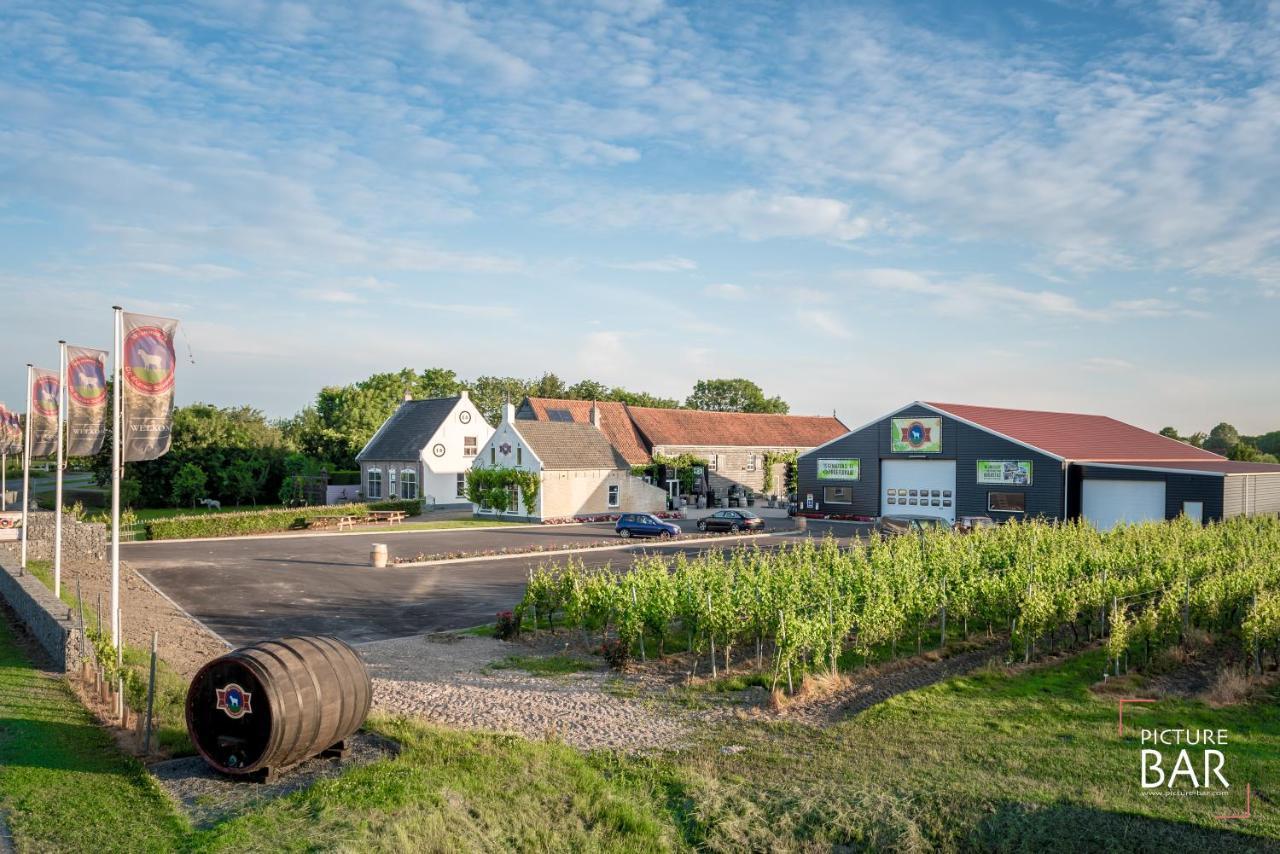 Wine-Barrel Rivaner Dreischor エクステリア 写真